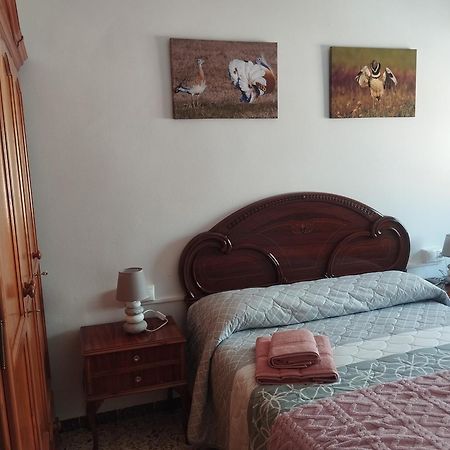 Apartamento Las Fuentes Sierra de Fuentes Dış mekan fotoğraf